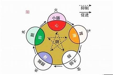 子五行属什么|五行汉字属性查询